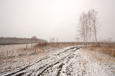 Similar image 901347