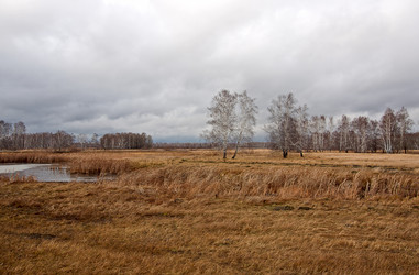 Similar image 901353