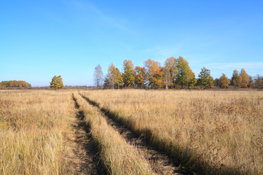 Similar image 901424