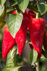 Similar image 901491