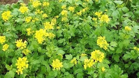 Similar image 901500