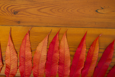 Similar image 901550