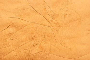 Similar image 901572