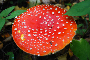 Similar image 901643