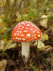 Similar image 901645