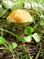 Similar image 901652