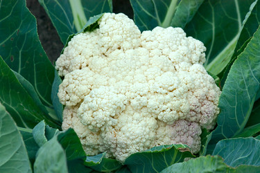 Similar image 901661