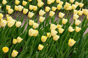 Similar image 901706