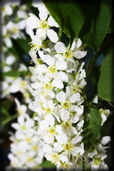 Similar image 901712