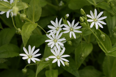 Similar image 901718