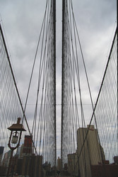 Similar image 901728