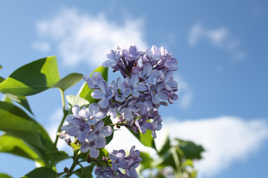 Similar image 901733