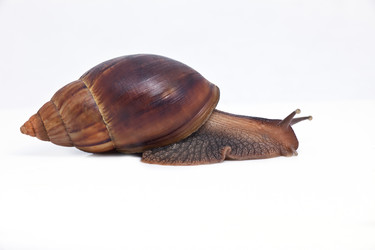 Similar image 901740