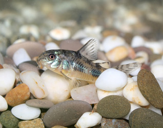 Similar image 901746