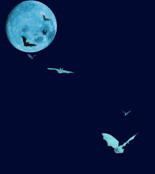 Similar image 901880