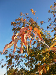 Similar image 901907