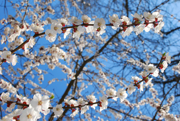 Similar image 901961