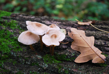 Similar image 901977