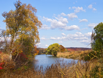 Similar image 901995