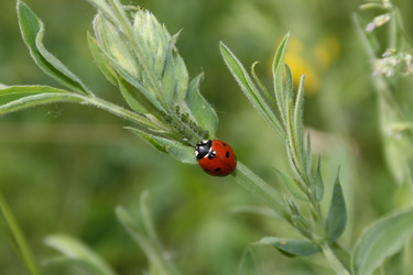 Similar image 901999