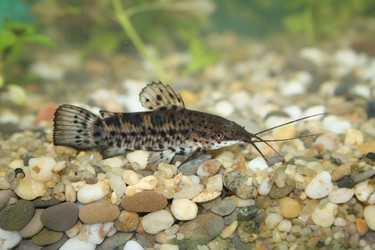 Similar image 902008