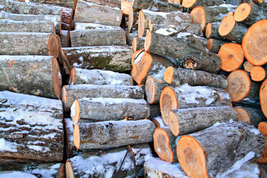 Similar image 902033