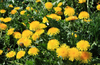 Similar image 902057