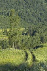 Similar image 902064