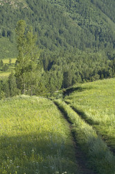 Similar image 902068