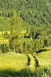 Similar image 902069