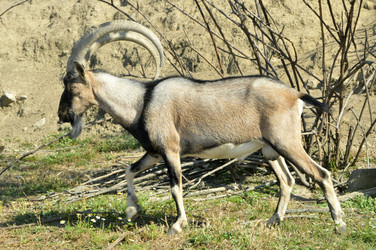 Similar image 902080