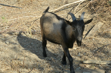 Similar image 902083