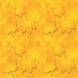 Similar image 902154