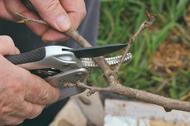 Similar image 902207