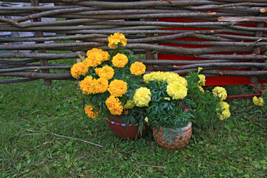 Similar image 902212