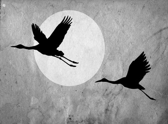 Similar image 902221