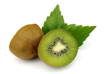 Similar image 902230