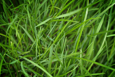 Similar image 902264