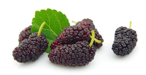 Similar image 902296