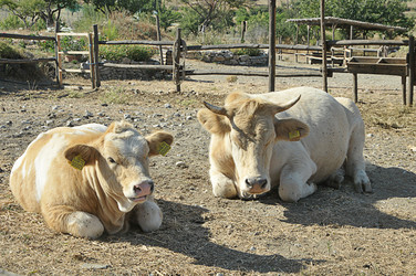 Similar image 902311