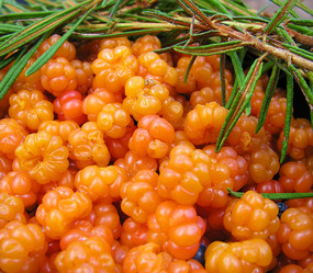 Similar image 902533