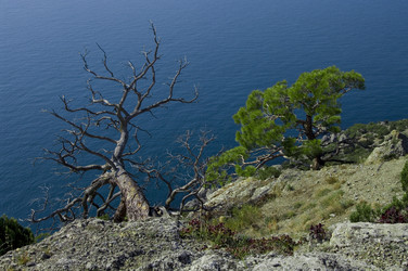 Similar image 902540