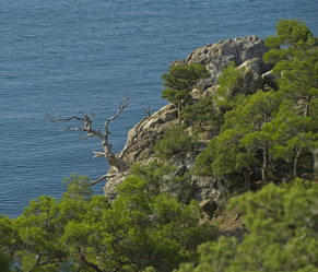 Similar image 902544