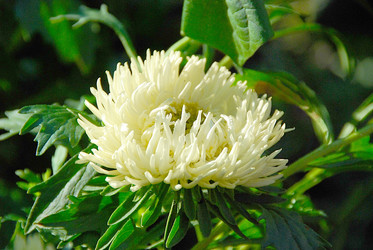 Similar image 902567