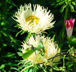 Similar image 902568