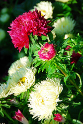 Similar image 902569