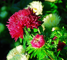 Similar image 902571