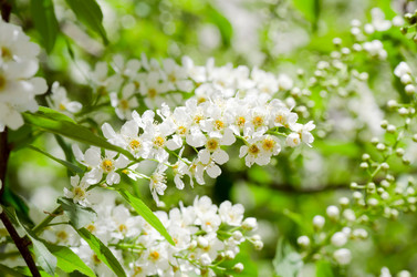 Similar image 902651