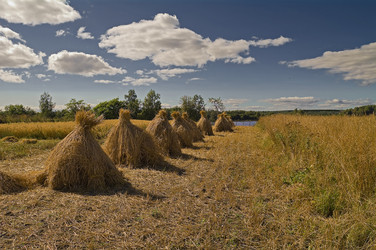 Similar image 902656