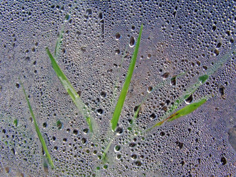 Similar image 902694